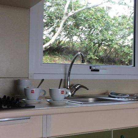 Camping Le Soline Casciano Di Murlo 部屋 写真