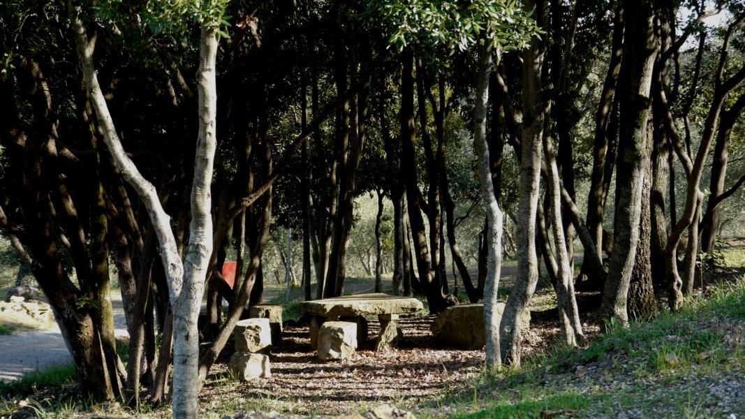 Camping Le Soline Casciano Di Murlo エクステリア 写真