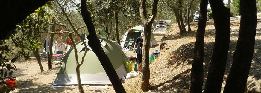 Camping Le Soline Casciano Di Murlo エクステリア 写真